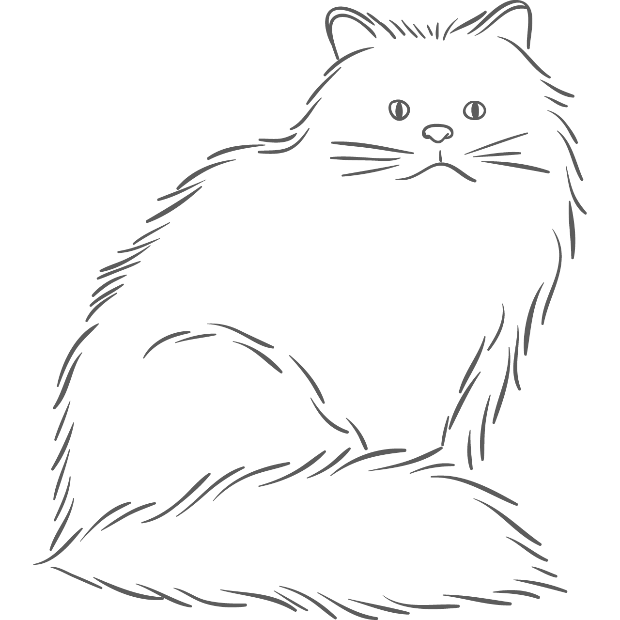猫