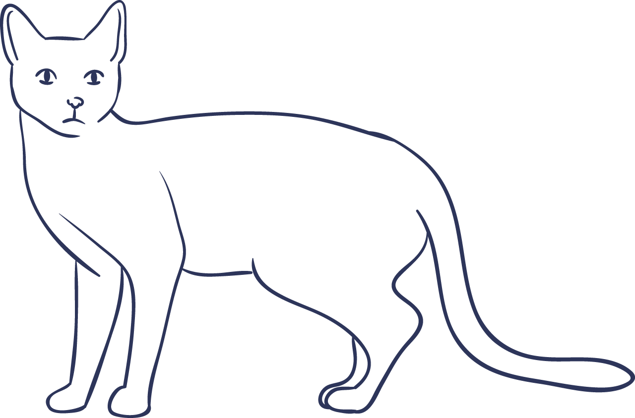 猫
